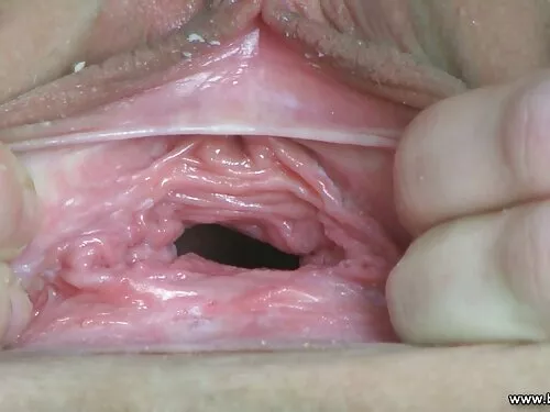 Sexul anal al unei f ...